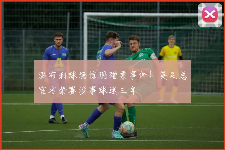 温布利球场惊现蹭票事件！英足总官方禁赛涉事球迷三年
