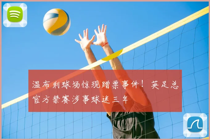 温布利球场惊现蹭票事件！英足总官方禁赛涉事球迷三年