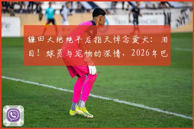 镰田大地绝平后指天悼念爱犬：泪目！球员与宠物的深情，2026年巴伦去世周年祭